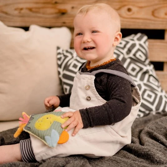 Baby Fehn Greifling mit Beißelement Vulkan - Happy Dino 5 Baby Fehn Greifling mit Beißelement Vulkan - Happy Dino – Bild 5