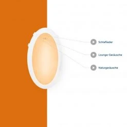 ZAZU Kuscheltier-Nachtlicht mit Musik - Katie die Katze -Günstiges Babyspielzeug Geschäft zazu kuscheltier nachtlicht mit musik katie die katze 14 107139 d3